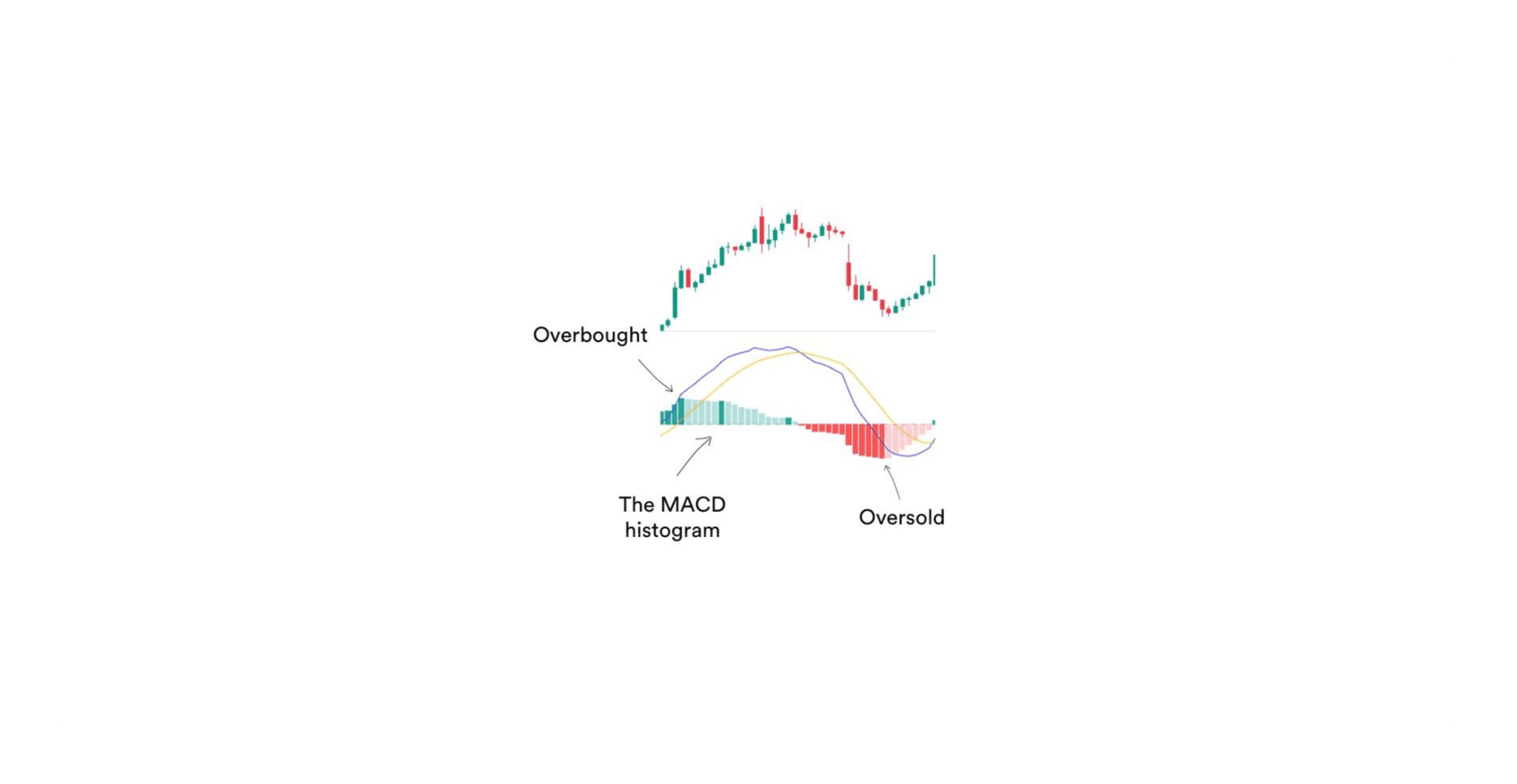 Histogram Interpretation